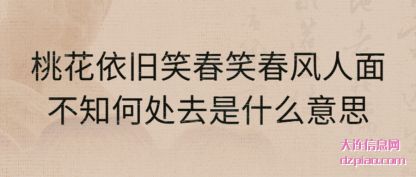 讲解桃花依旧笑春笑春风人面不知何处去是什么意思