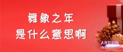 舞象之年是什么意思啊