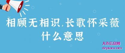 讲述相顾无相识,长歌怀采薇什么意思