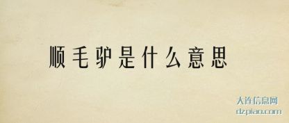 讲解顺毛驴是什么意思