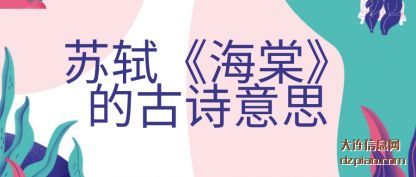 讨论海棠宋苏轼的古诗意思