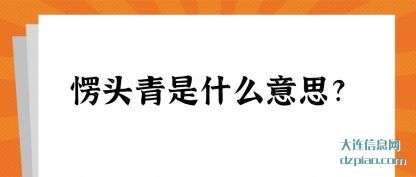 讲述愣头青是什么意思?