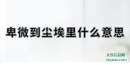解答卑微到尘埃里什么意思