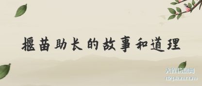 谈论揠苗助长的故事和道理