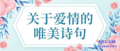 谈谈关于爱情的唯美诗句