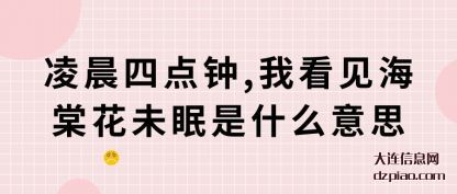 剖析凌晨四点钟,我看见海棠花未眠是什么意思