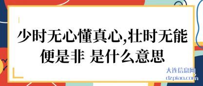 介绍少时无心懂真心,壮时无能便是非 是什么意思