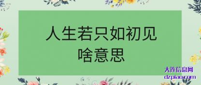 讲述人生若只如初见啥意思