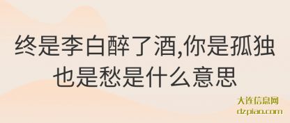 理会终是李白醉了酒,你是孤独也是愁是什么意思