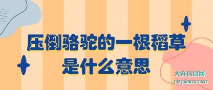 概括压倒骆驼的一根稻草是什么意思
