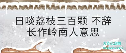 解答日啖荔枝三百颗 不辞长作岭南人意思