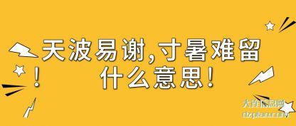 天波易谢,寸暑难留什么意思
