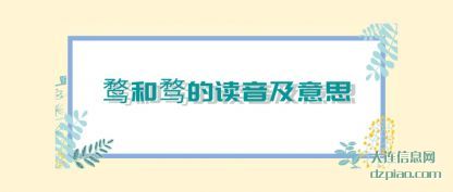 关于鹜和骛的读音及意思