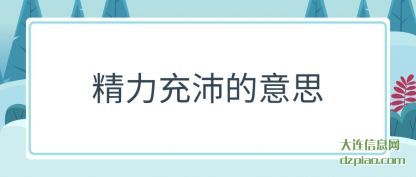 认识精力充沛的意思