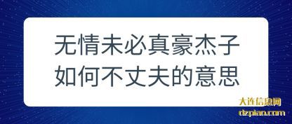 无情未必真豪杰子如何不丈夫的意思