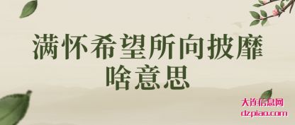 剖析满怀希望所向披靡啥意思