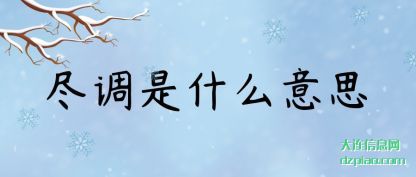 尽调是什么意思
