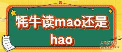 牦牛读mao还是hao
