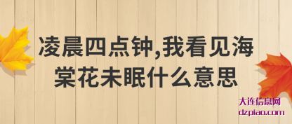 谈谈凌晨四点钟,我看见海棠花未眠什么意思