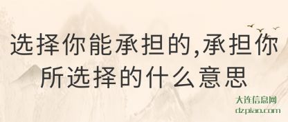注解选择你能承担的,承担你所选择的什么意思