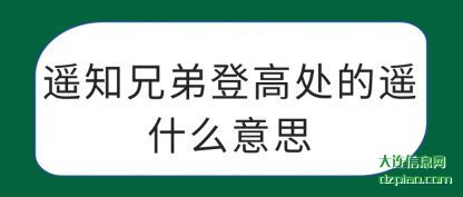 评释遥知兄弟登高处的遥什么意思