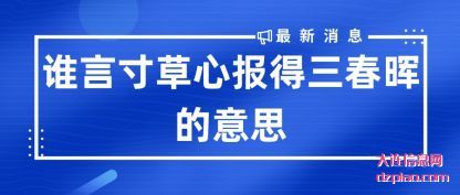 了解谁言寸草心报得三春晖的意思