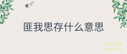 聊聊匪我思存什么意思