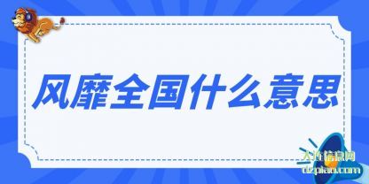 分析风靡全国什么意思