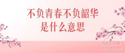 议论不负青春不负韶华是什么意思