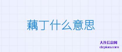 剖析藕丁什么意思