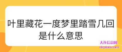 阐述叶里藏花一度梦里踏雪几回是什么意思