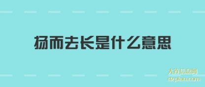 扬而去长是什么意思