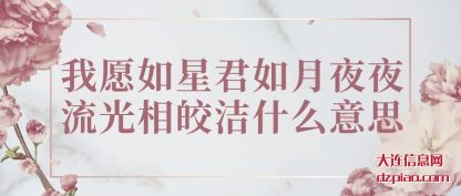 解读我愿如星君如月夜夜流光相皎洁什么意思