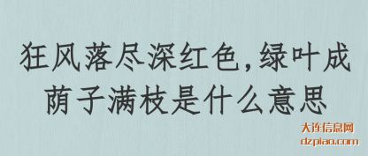 解析狂风落尽深红色,绿叶成荫子满枝是什么意思