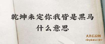 分析乾坤未定你我皆是黑马什么意思