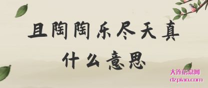 概括且陶陶乐尽天真什么意思