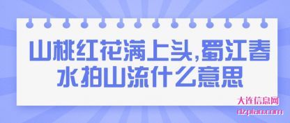 总结山桃红花满上头,蜀江春水拍山流什么意思