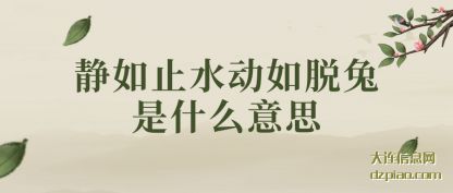 概括静如止水动如脱兔是什么意思