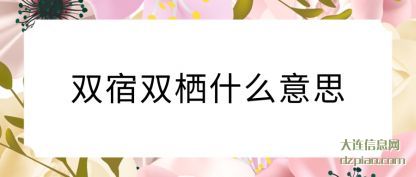 议论双宿双栖什么意思