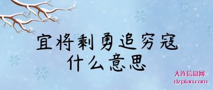 宜将剩勇追(zhui)穷寇什么(me)意思