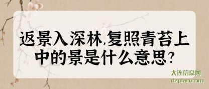 返景(jing)入深林(lin),复照(zhao)青苔上中的景是什么(me)意思?