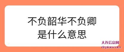 不负韶华不(bu)负卿是什么意思(si)