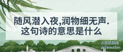 随风潜入夜,润物细无声.这句诗的意(yi)思是什么?