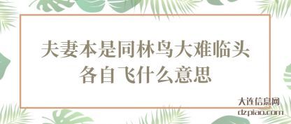 夫妻本是同(tong)林鸟大难临头(tou)各自飞什么意思