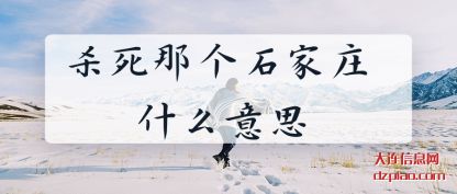 杀死那(na)个石家庄(zhuang) 什么意思