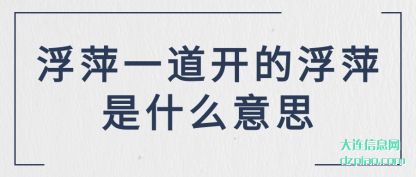 浮萍一道(dao)开的浮萍是什(shi)么意思
