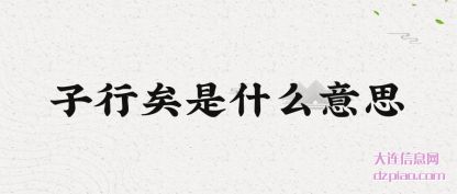 子行矣是(shi)什么意(yi)思