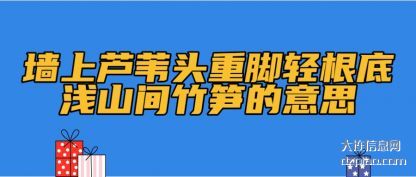 墙上芦苇(wei)头重脚轻根(gen)底浅山间竹笋的意思