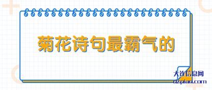 菊花诗句最(zui)霸气的