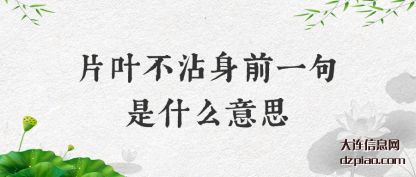 片叶不(bu)沾身前一(yi)句是什么意思